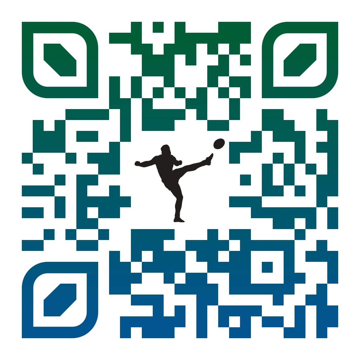 You are currently viewing QR CODE