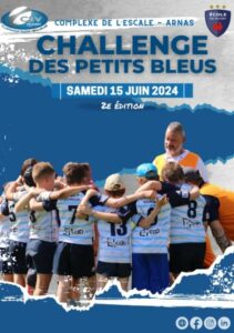 Lire la suite à propos de l’article Challenge des petits bleus